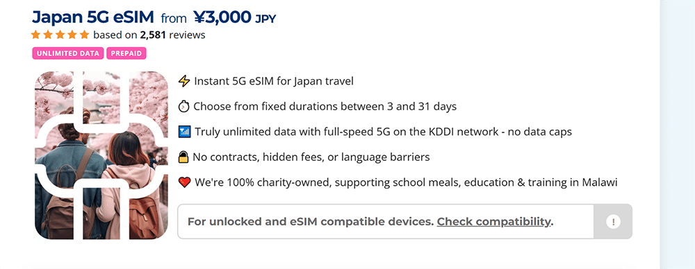 Data Security Considerations for International Business Travel