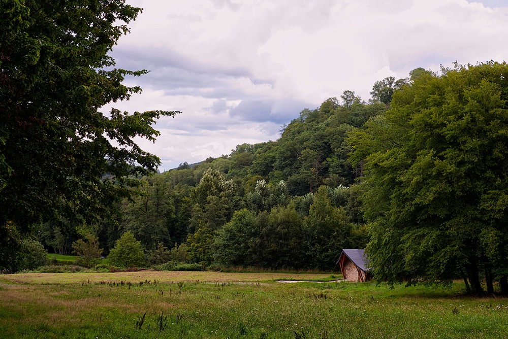 Explore the Ardennes (If You Want Nature)