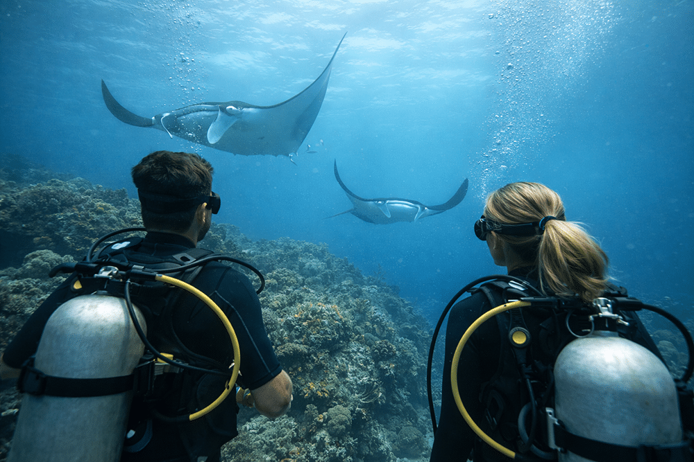 Manta Point as a Model for Experience-Led Hospitality