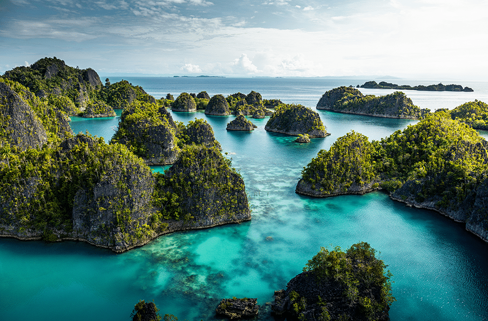 Raja Ampat A Destination Defined by Biodiversity and Remoteness