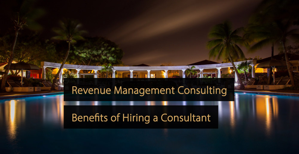 Revenue Management Consulting - Consultant