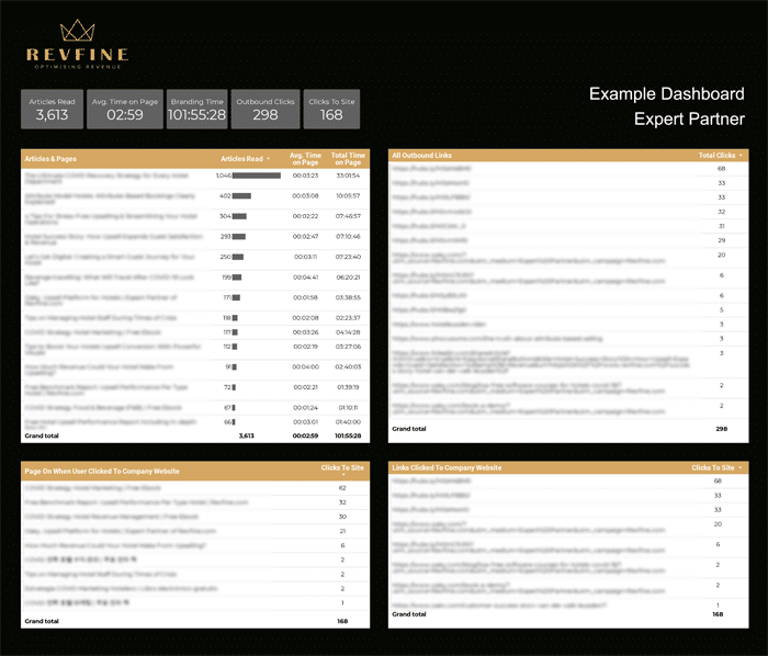 Revfine Example Dashboard Expert Partner